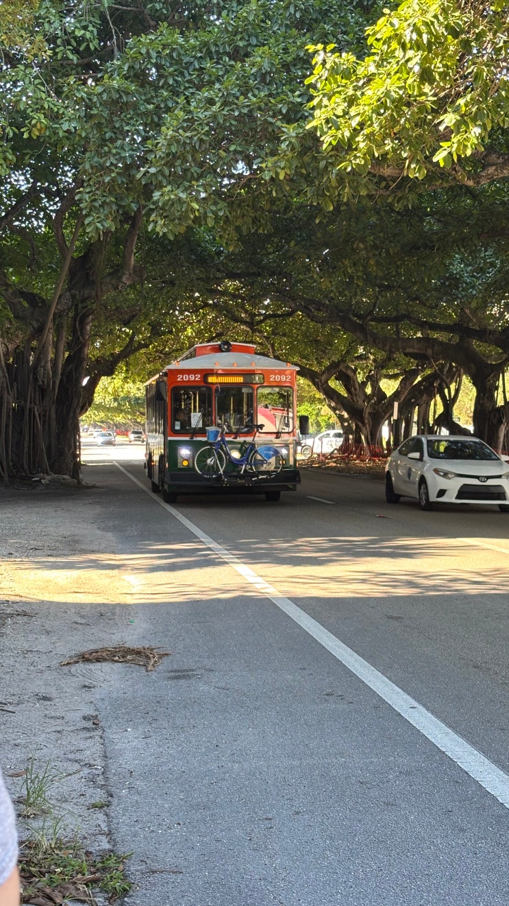  [Miami] 마이애미 여행 경비 절약하기, 마이애미 무료 대중교통_ 매트로 무버, 트롤리 이용하기 치안