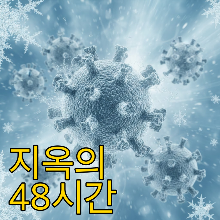  노로바이러스 증상과 전염력, 48시간의 골든타임 완벽 분석