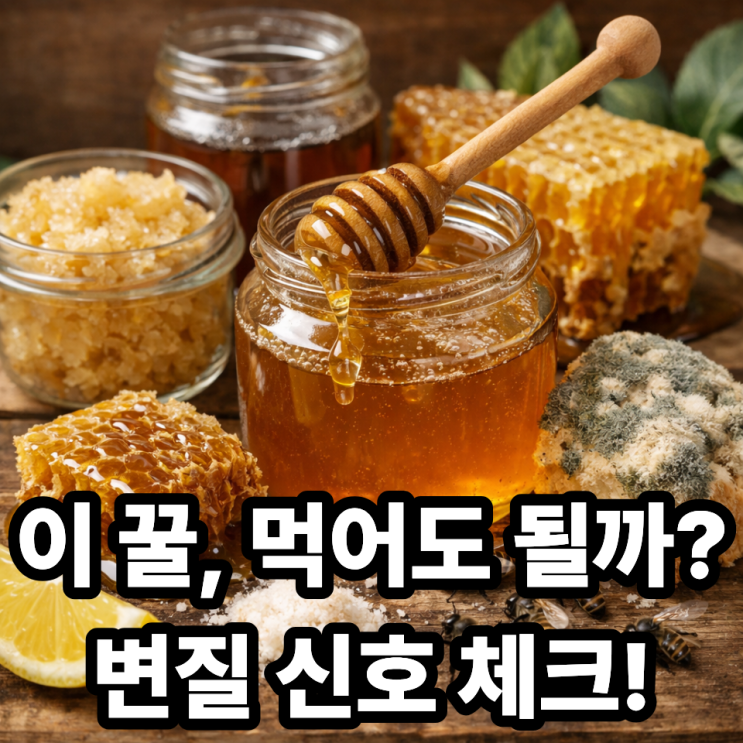  꿀은 상하지 않을까? 꼭 알아야 할 변질 기준 정리