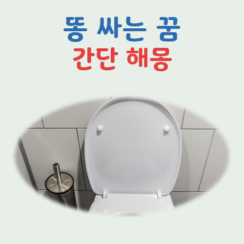 똥 싸는 꿈 해몽(색깔, 변비, 바지나 속옷에 보는 등)