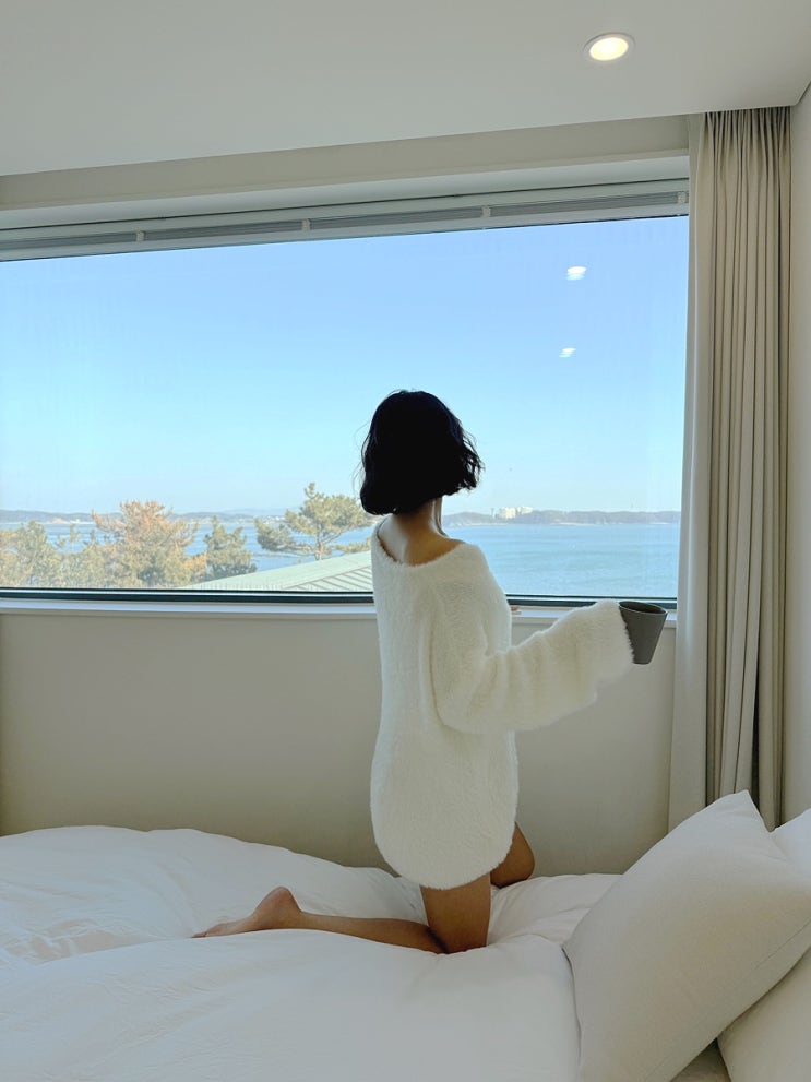  태안히 하루 종일 머물고 싶었던 태안 여행 숙소 풀빌라 후기