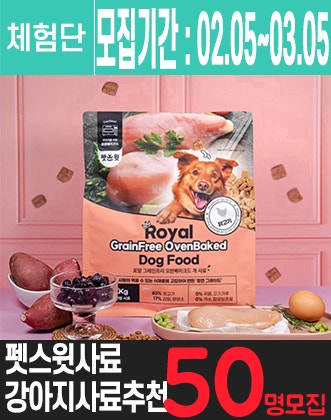 강아지사료 체험단을 모집합니다