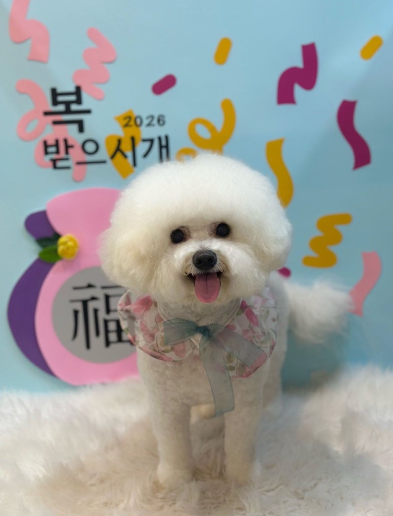 이뻐지개