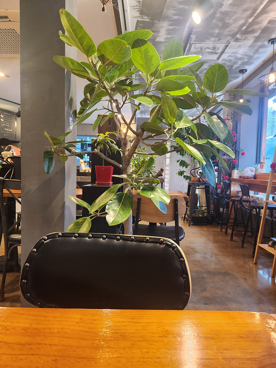 술탄커피 사진 5