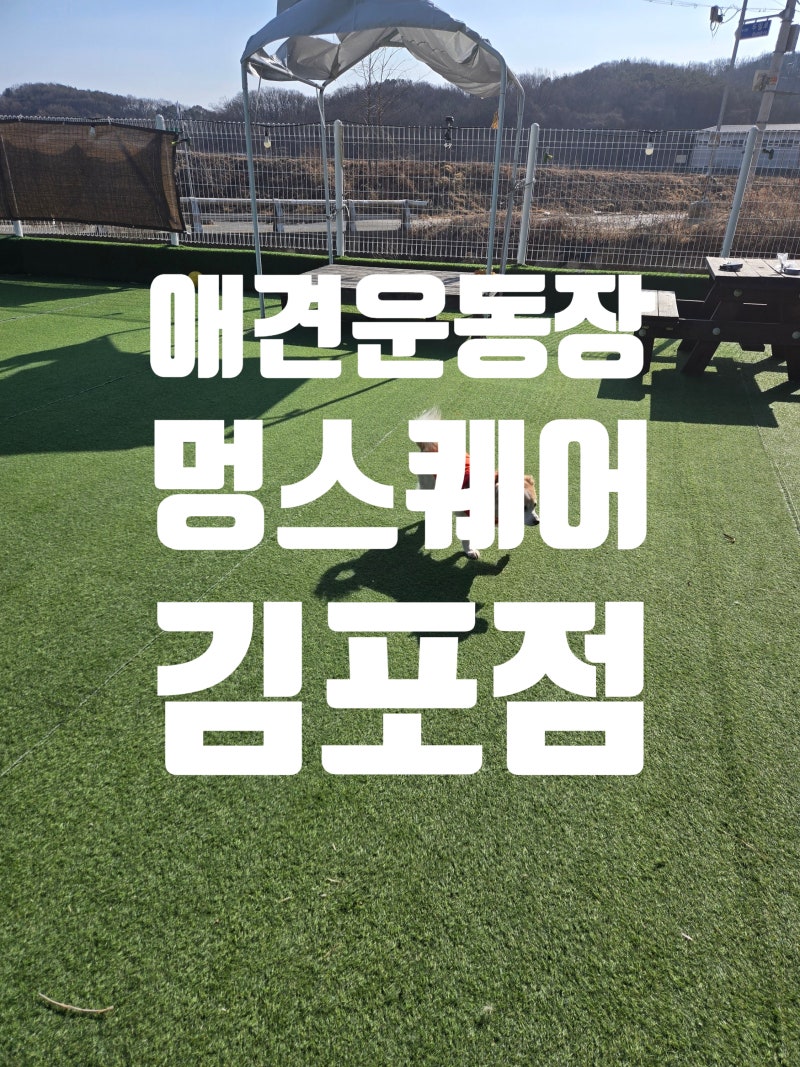사진 3