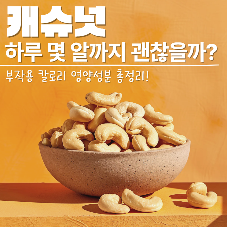  캐슈넛 하루 섭취량 부작용 보관법 열매