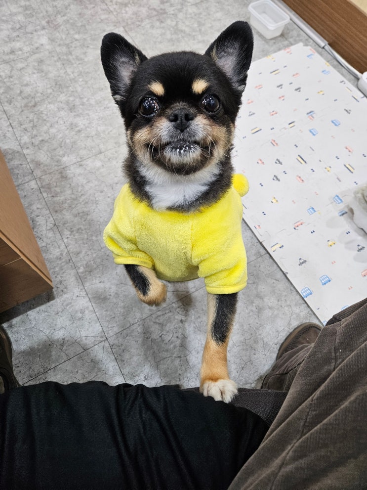  기쁨과 와꾸와의 행복한 동행