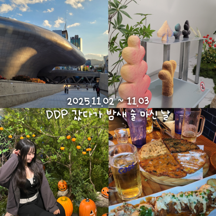  11월일상 1 :: 처음으로 DDP 가서 두피검사나 하고 그냥 술 처마심..