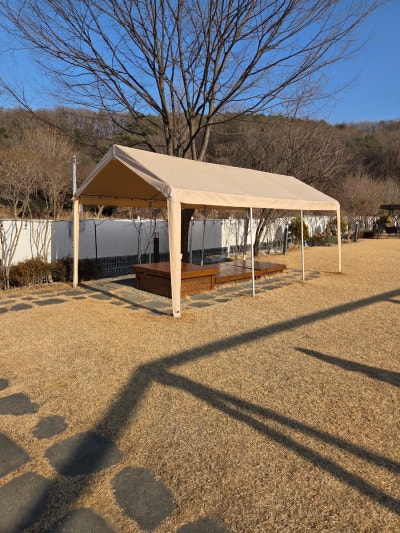 사진 5