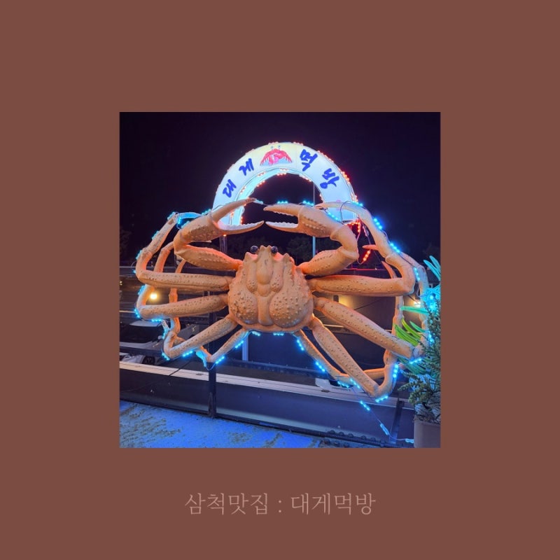 [삼척맛집] 대게먹방 : 살꽉찬 대게코스