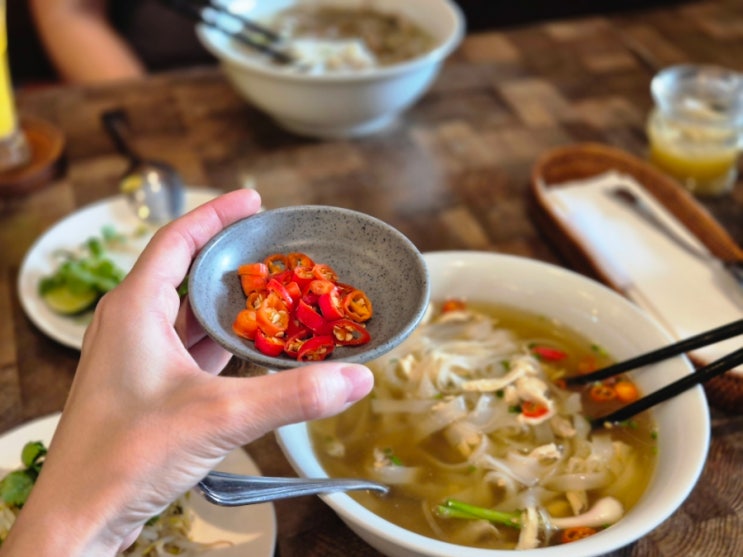  발리 짱구 베트남쌀국수 VIETNAM BISTRO 방문 후기