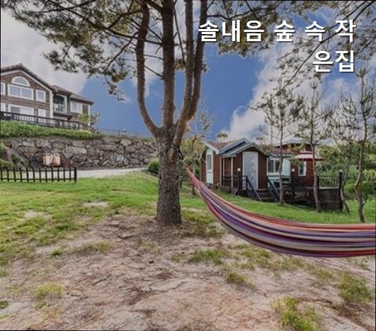 솔내음숲속작은집 사진 2