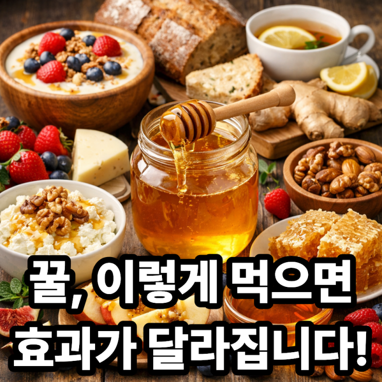   꿀과 함께 먹으면 좋은 음식 BEST 7｜영양 흡수 높이는 궁합 조합