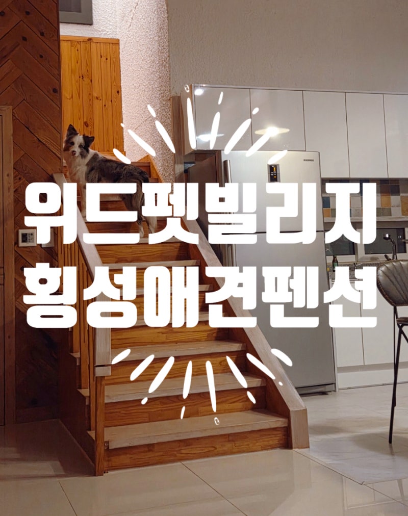 펫빌리지