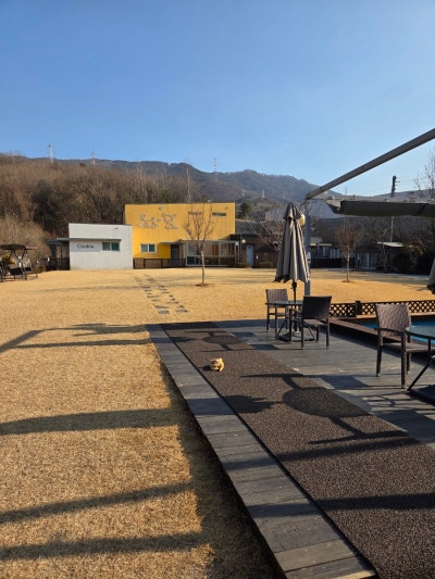 사진 4