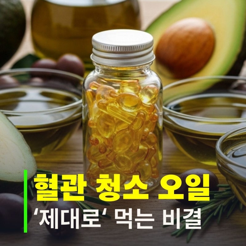 나쁜 콜레스테롤 잡는법, 아보카도 오일 캡슐 '이렇게' 드세요
