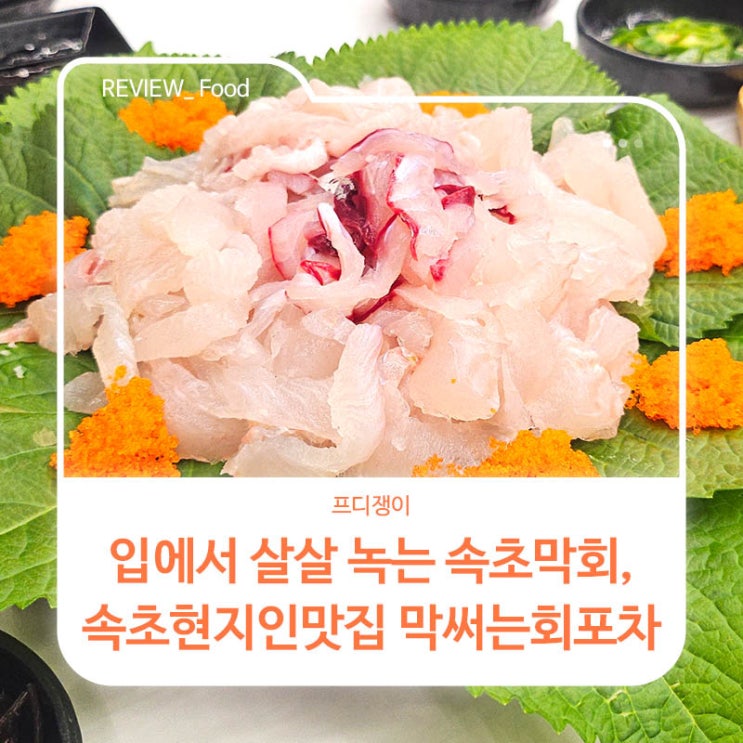  입에서 살살 녹는 속초막회, 속초현지인맛집 막써는회포차
