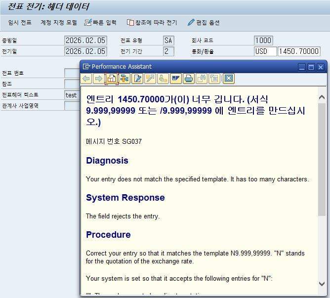  SAP FI - Message SG037 "엔트리 &1가(이) 너무 깁니다. (서식 9.999,99999 또는 /9.999,99999 에 엔트리를 만드십시오.)"