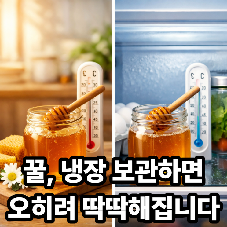   꿀 보관은 실온이 좋을까 냉장일까? 제대로 보관해야 굳지 않는다