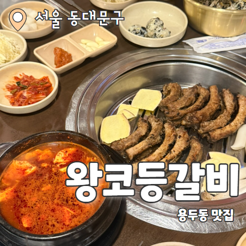  왕코등갈비 : 용두동 줄서는 등갈비 맛집 내돈내산 추천 후기