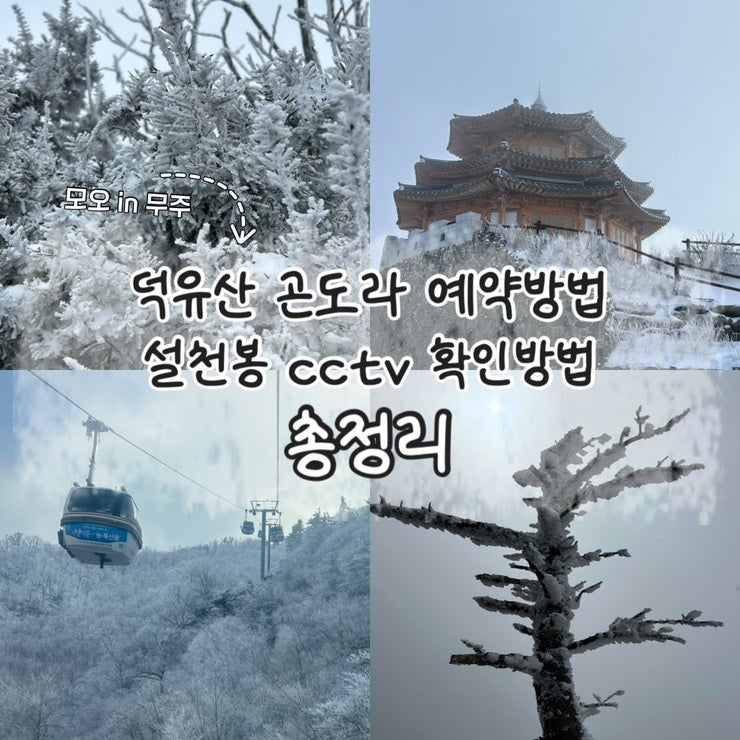 무주 덕유산 곤도라(케이블카) 예약 방법과 실시간 cctv 확인 방법 총정리