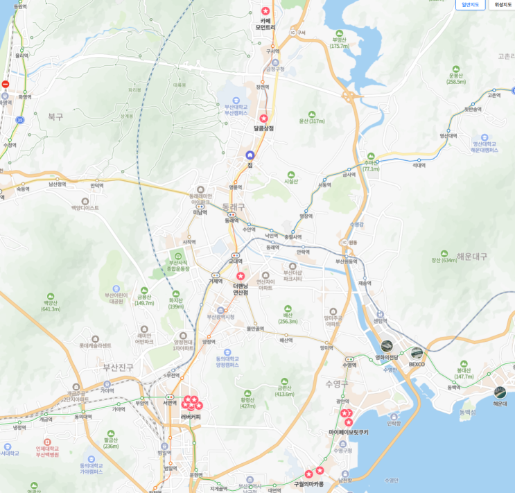  두쫀쿠.. 도대체 넌 또 누구냐? 왜? 또 난리인데?