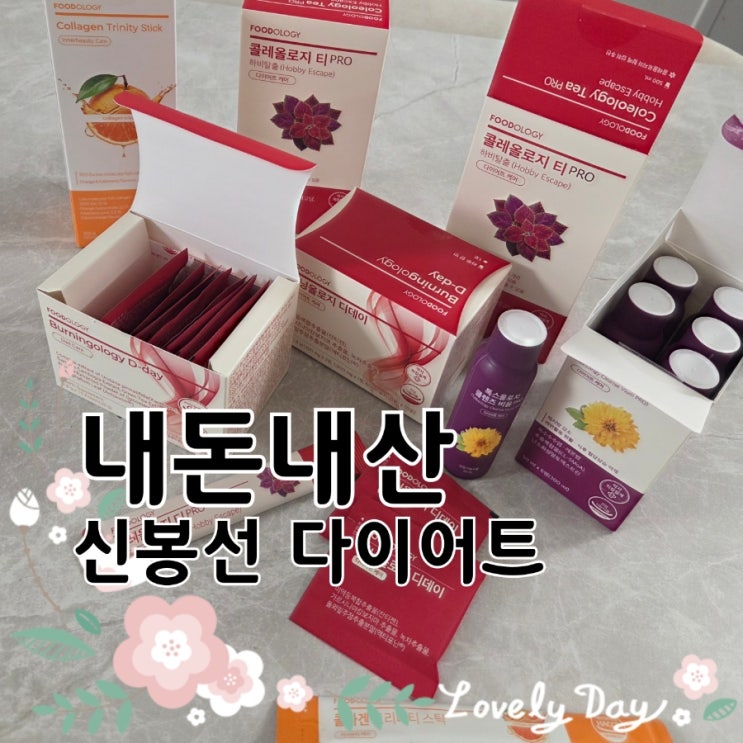  신봉선 다이어트 내돈내산 푸드올로지