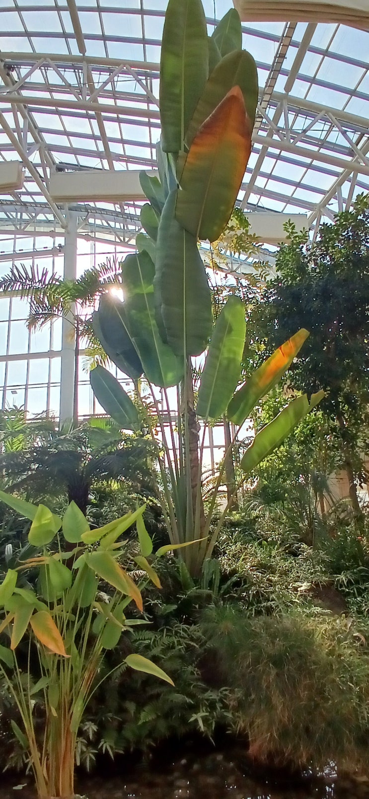  수원 실내 가볼만한곳 따뜻한 일월수목원