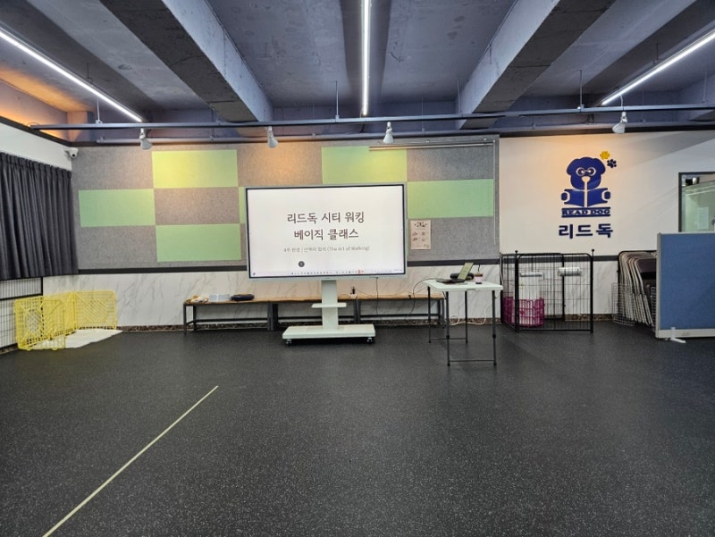 사진 2