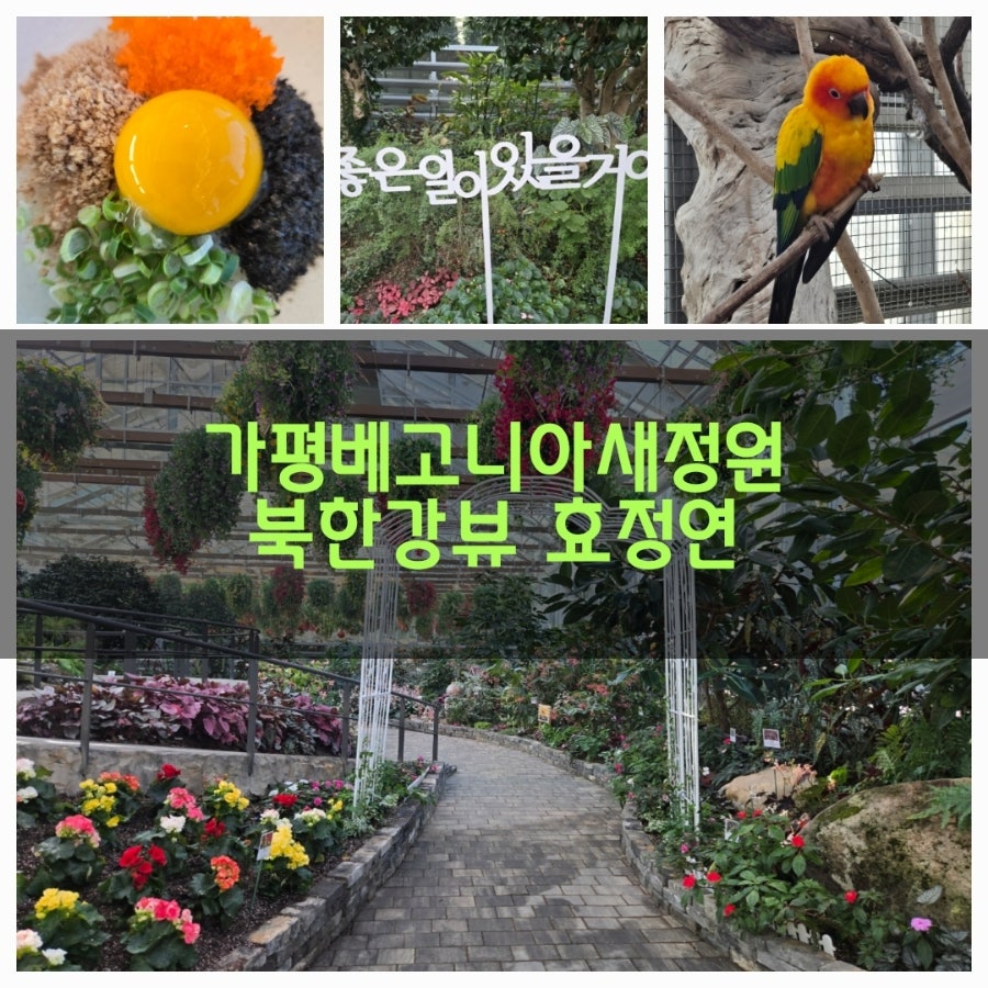 효정연 사진 1
