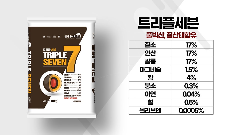 등골 사진 2