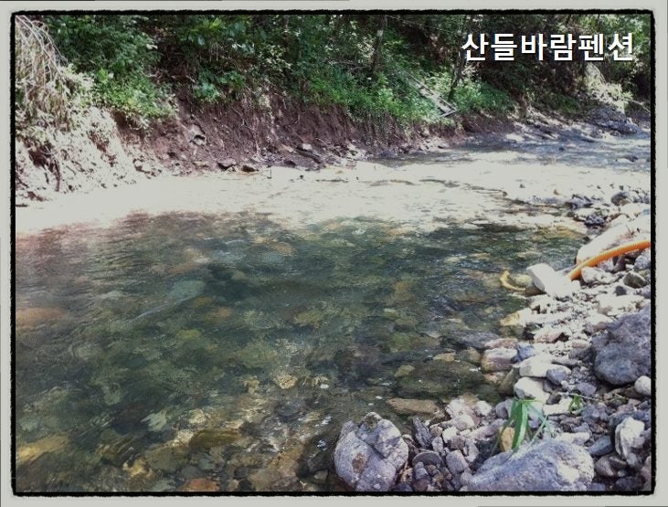 산들바람펜션 사진 4