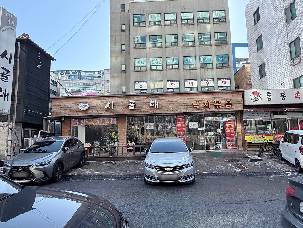 시골애 사진 4
