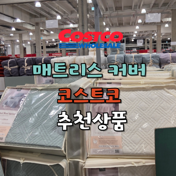 매트리스 커버 꼭 하세요! 코스트코 추천 커버, 패드