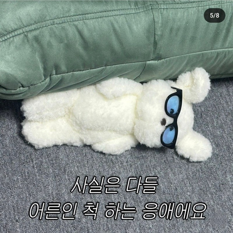 사진 4