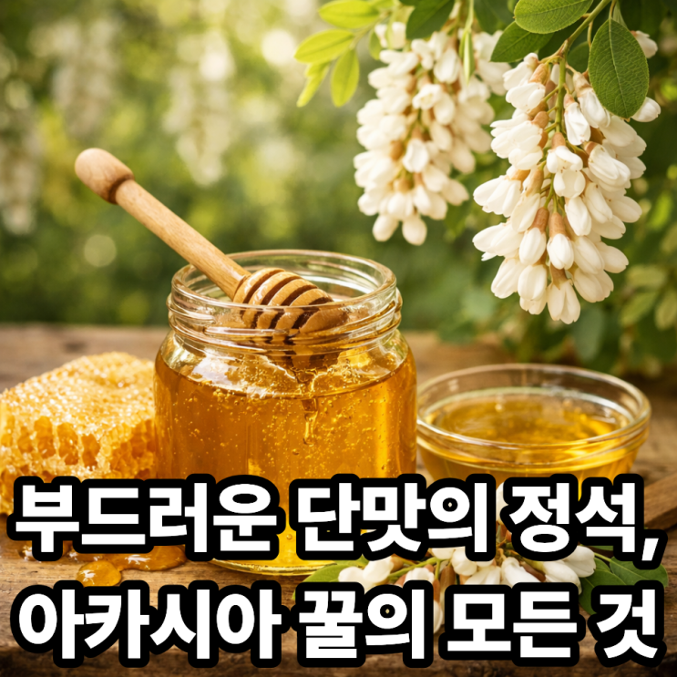  아카시아 꿀 특징 총정리｜맛·향·색깔까지 한 번에 알아보기