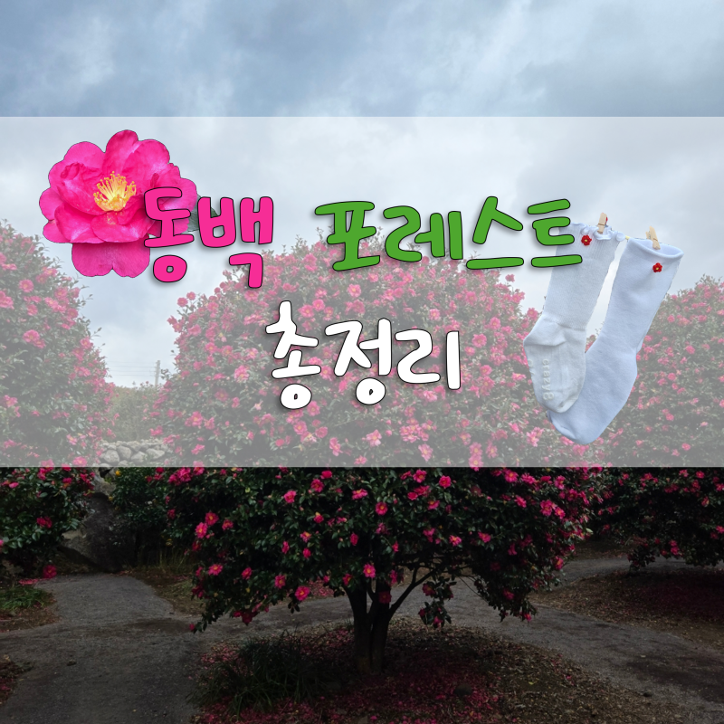 사진 4