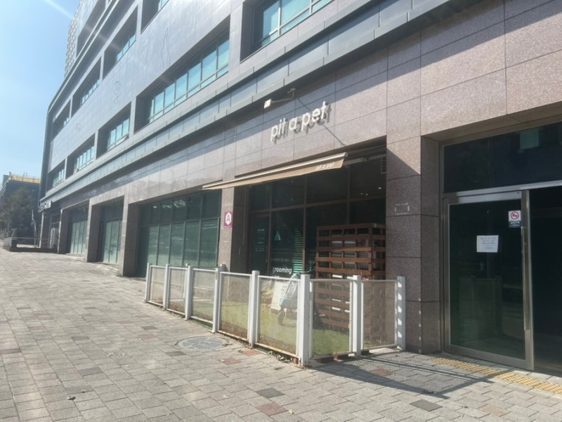 사진 10
