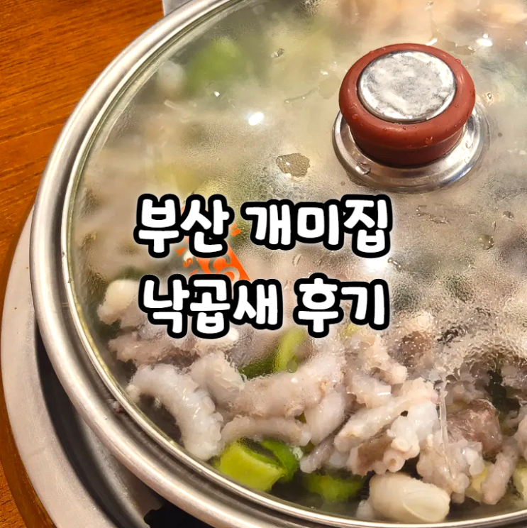  부산 개미집 해운대 낙곱새 후기 국제시장 본점 직영점
