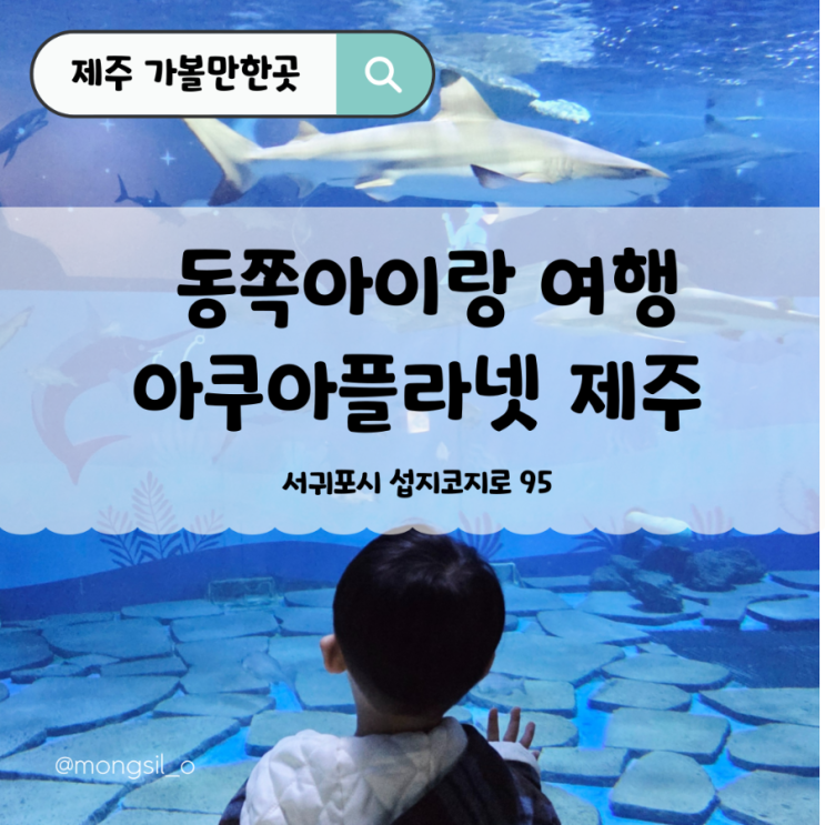  제주아쿠아플라넷 아이랑 가볼만한곳 l 쿠팡보상쿠폰 관광 꿀팁