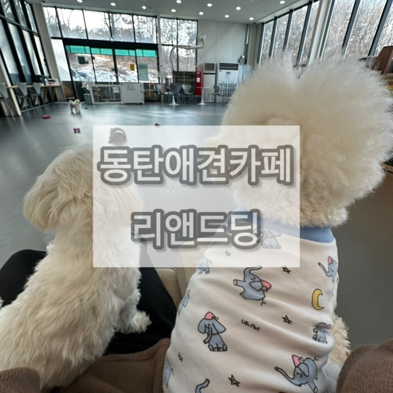 리앤드딩