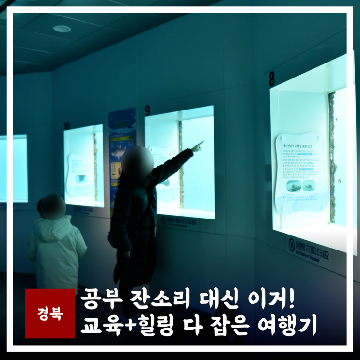  경북 아이와 가볼만한곳! 울진 해양과학관부터 영양 에코둥지 1박2일 체험여행