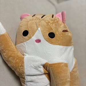 집돌이를 위한 고양이 바디필로우 인테리어소품 lofi shop
