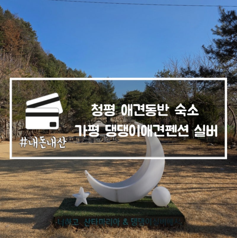 사진 3