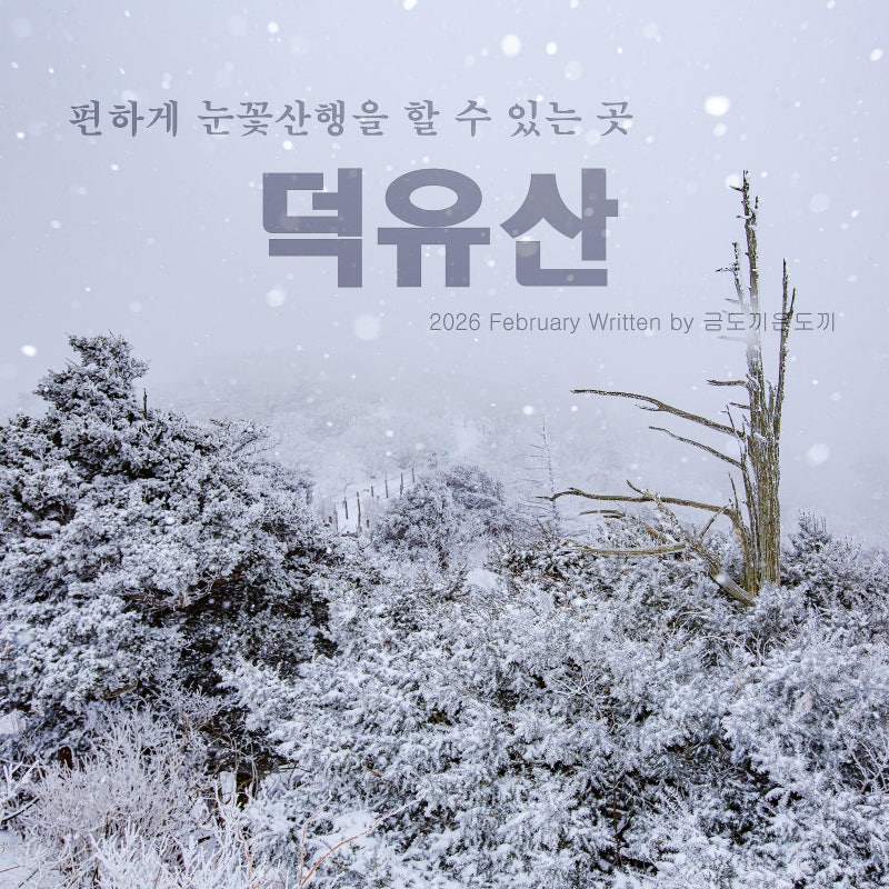 매년 겨울에 찾는 덕유산 등산코스입니다.