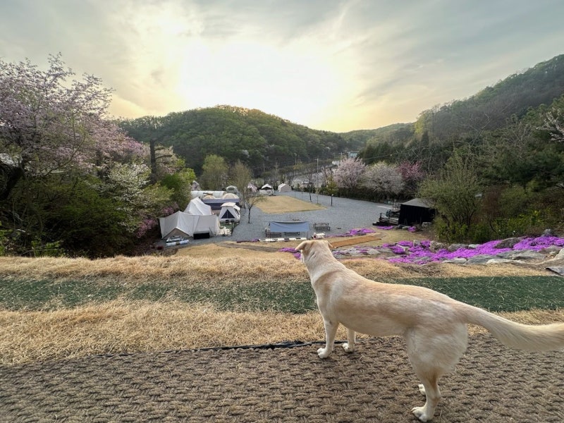 사진 3