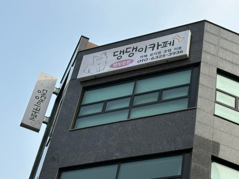 사진 5