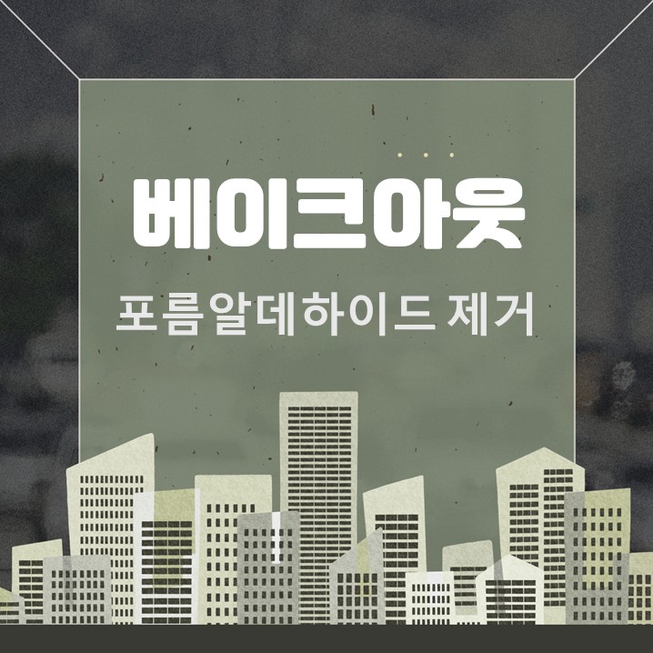  베이크아웃 뜻 포름알데하이드 제거