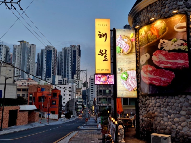 사진 5