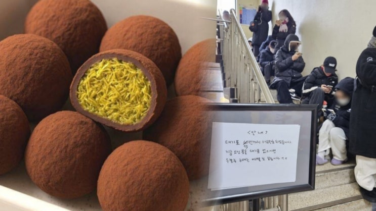   “피스타치오라더니 애호박?”… 배신감 폭발한 ‘두쫀쿠’ 논란, 식약처까지 등판한 이유